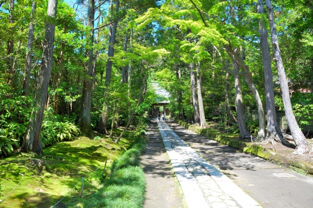 新緑の5月、自然を満喫する季節に
